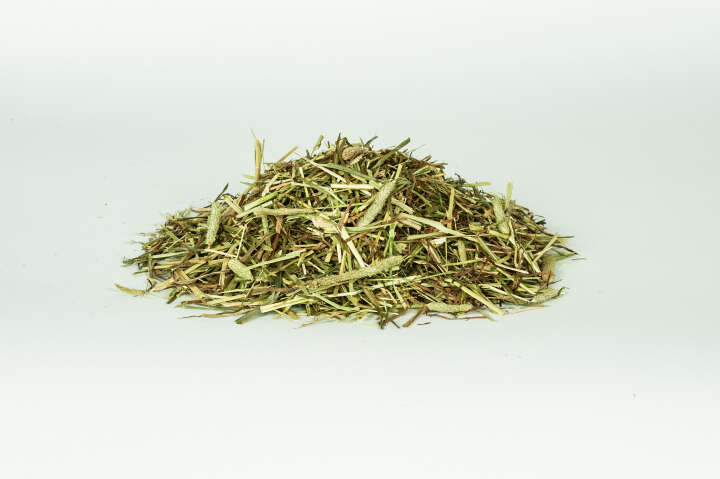 DERBY Timothee-Gras Pur DERBY Timothee-Gras Pur
